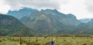 The Hidden Treasures Of Rwenzori Mountains Rwenzori Mountains