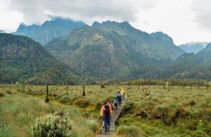 Rwenzori Mountains