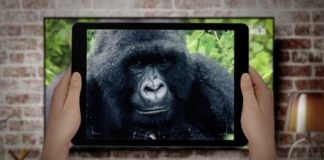 Tourism Sector offers Discount to Ugandans During Festive Season Uganda Tourism