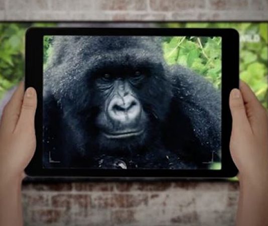 Tourism Sector offers Discount to Ugandans During Festive Season Uganda Tourism