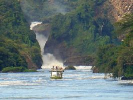 Conservationists Launch Save Murchison Falls Campaign Murchison Falls