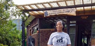 KCCA ED Jennifer Musisi Goes Gorilla Trekking in Bwindi Jennifer Musisi Goes Gorilla Trekking