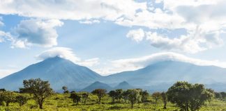 5 Must See Attractions in the Virunga Mountains The Virunga Mountains