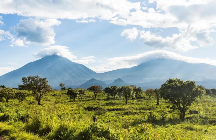 The Virunga Mountains