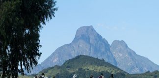 Uganda: The Best Gateway to Virunga Volcanoes Virunga Volcanoes
