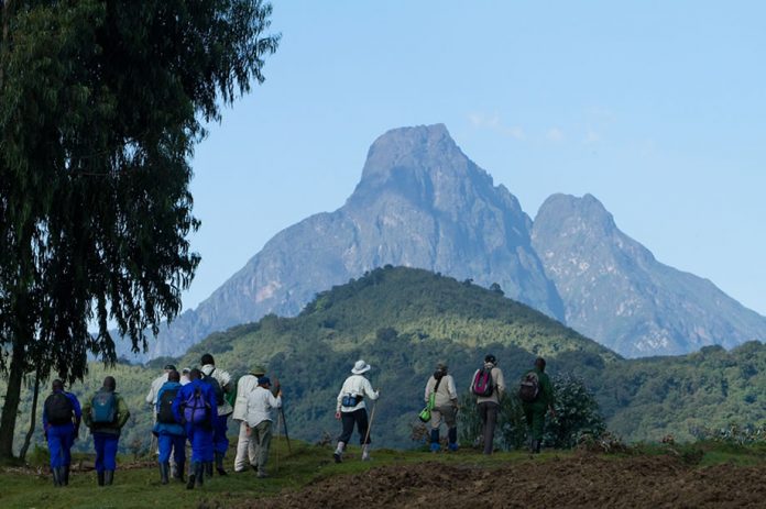 Virunga Volcanoes