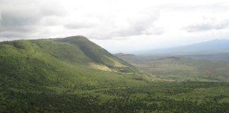 Inside Uganda: Top Things to See & Do The Uganda Rift Valley