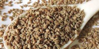 CAROM Seeds: Health Benefits Carom Seeds