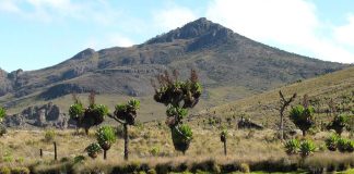 Best 5 Places for Day Hikes in Uganda Mount Elgon of Uganda