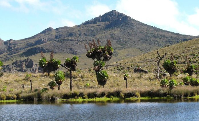 Mount Elgon of Uganda