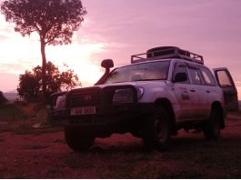 Is It Safe to Go on Self Drive in Uganda During Covid Era? Self Drive Jeep
