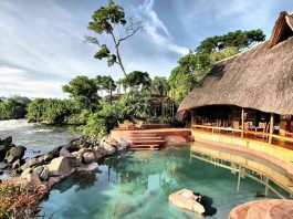Planning a Honeymoon Holiday in Uganda Honeymoon in Uganda
