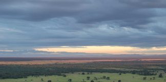 Do You know the 10 Uganda National Parks? Uganda National Parks