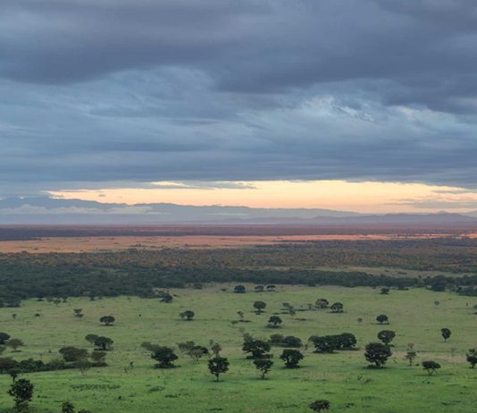 Do You know the 10 Uganda National Parks? Uganda National Parks