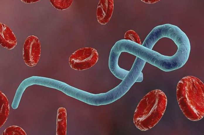 Ebola Virus