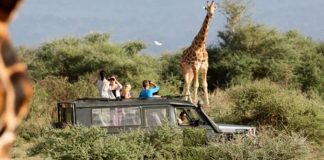 Why Hire a Pop Up Roof Vehicle for Uganda Safari Pop Up Roof Car