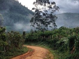 The Tales of a First Time Traveller Remote Uganda