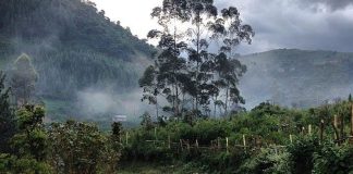 The Tales of a First Time Traveller Remote Uganda