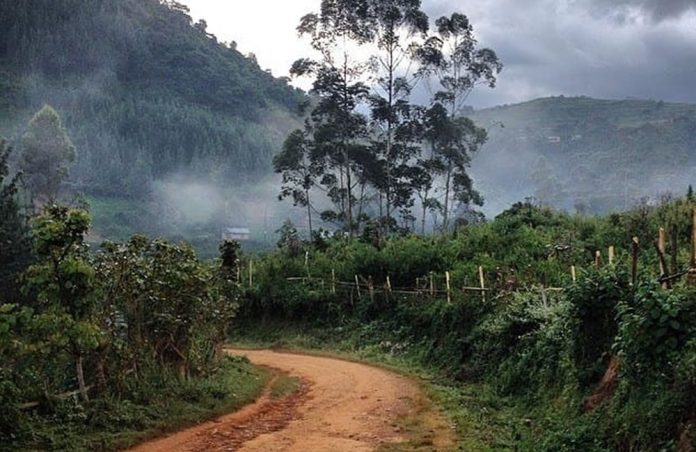 Remote Uganda