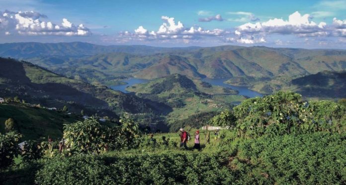 Batwa Trail