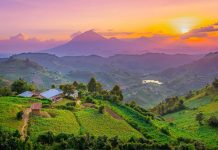 Informative Tips for Uganda Travelers Exploring Uganda