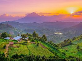 Informative Tips for Uganda Travelers Exploring Uganda