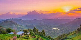 Informative Tips for Uganda Travelers Exploring Uganda