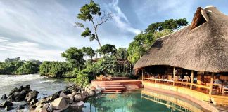 How to Plan a Honeymoon Safari in Uganda Honeymoon Holiday in Uganda