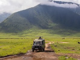 Essential Things to Know About Self Drive in Uganda Self Driving Uganda