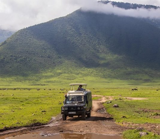 Essential Things to Know About Self Drive in Uganda Self Driving Uganda